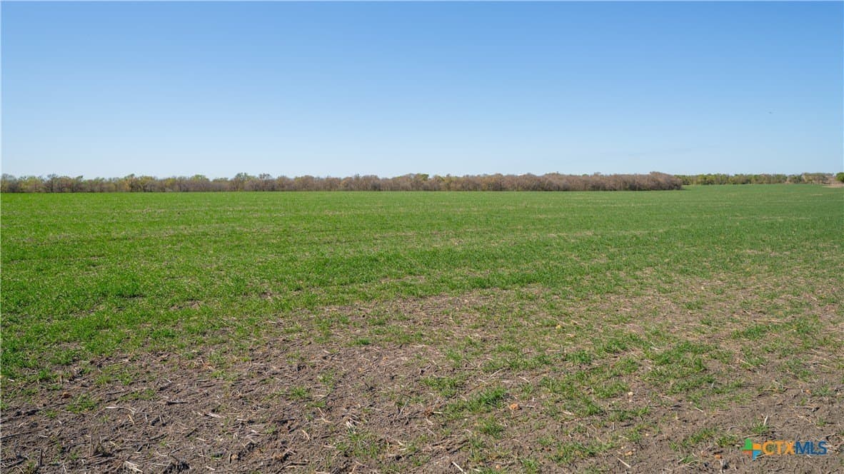 6 acres in Milam County - photo 7