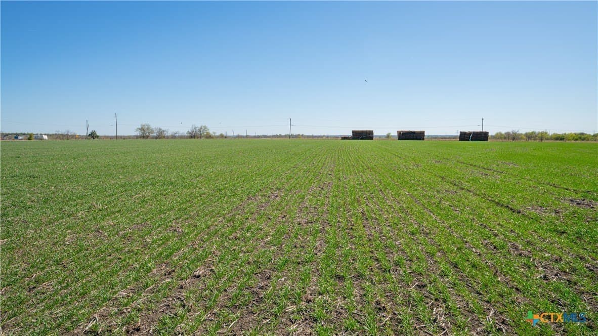 6 acres in Milam County - photo 17