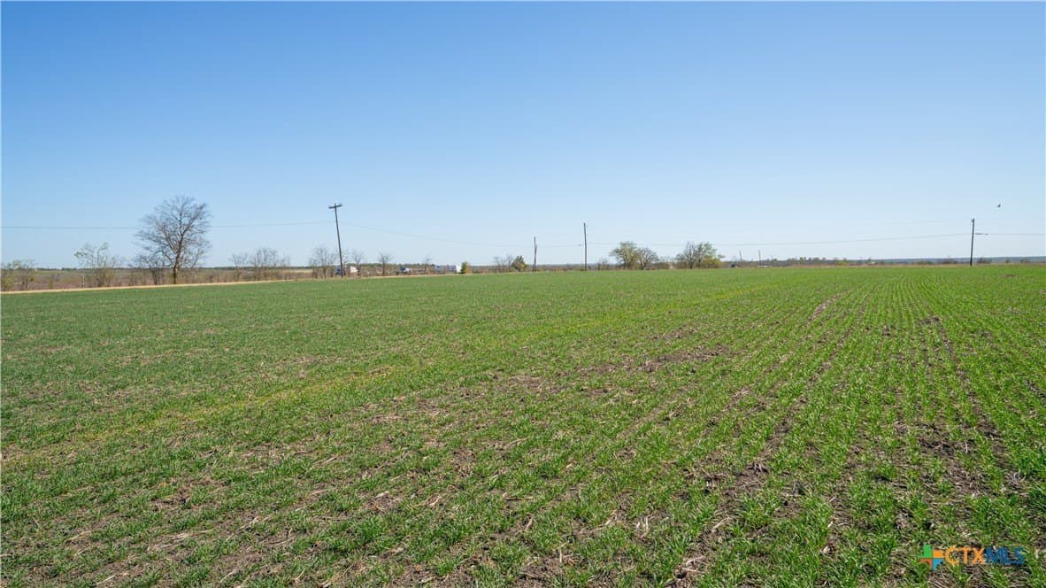 6 acres in Milam County - photo 14