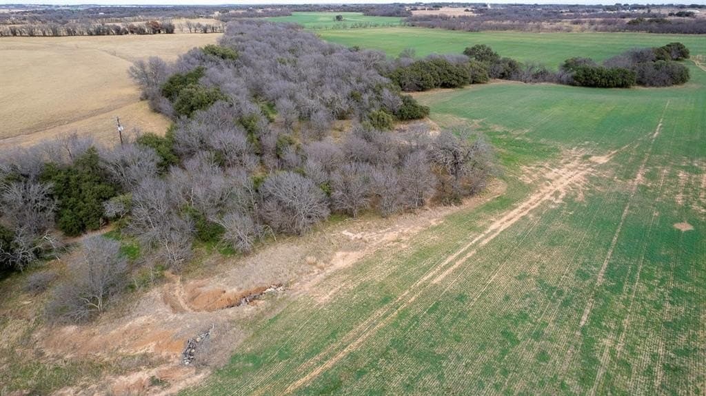 103.3 acres in Comanche County - photo 7