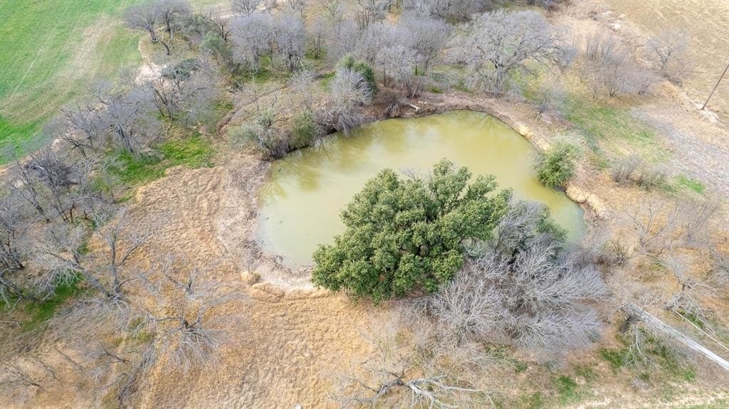 103.3 acres in Comanche County - photo 6