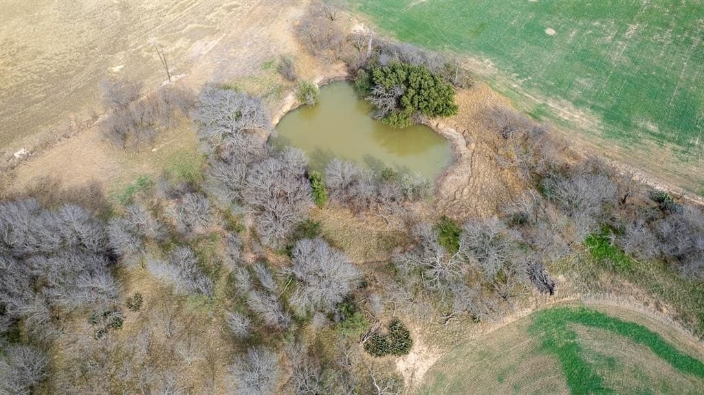 103.3 acres in Comanche County - photo 5