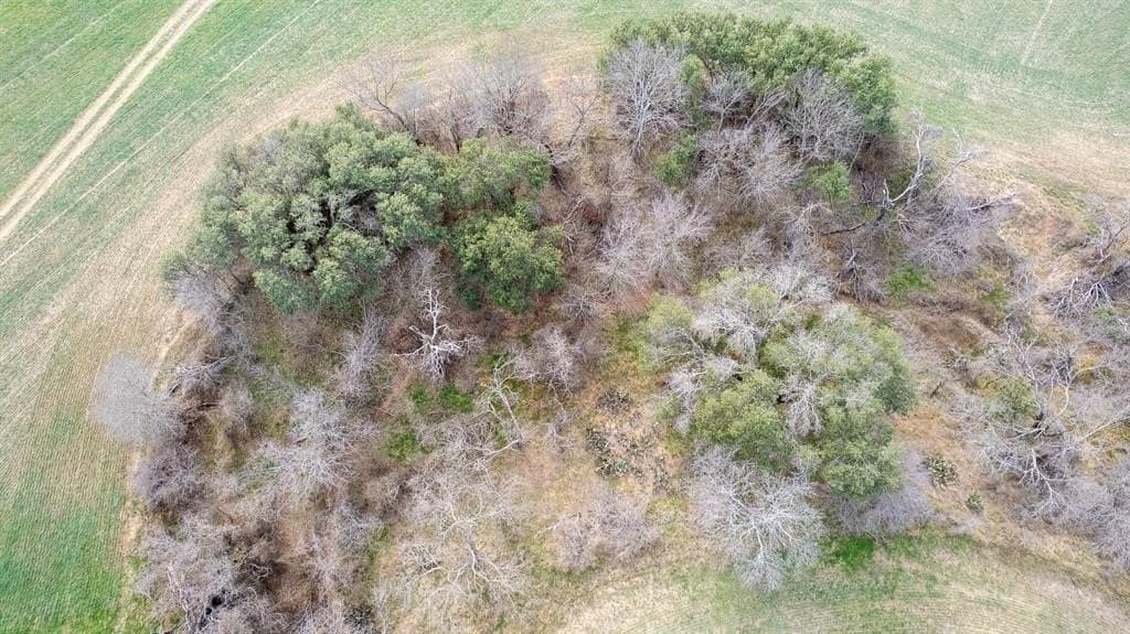 103.3 acres in Comanche County - photo 10