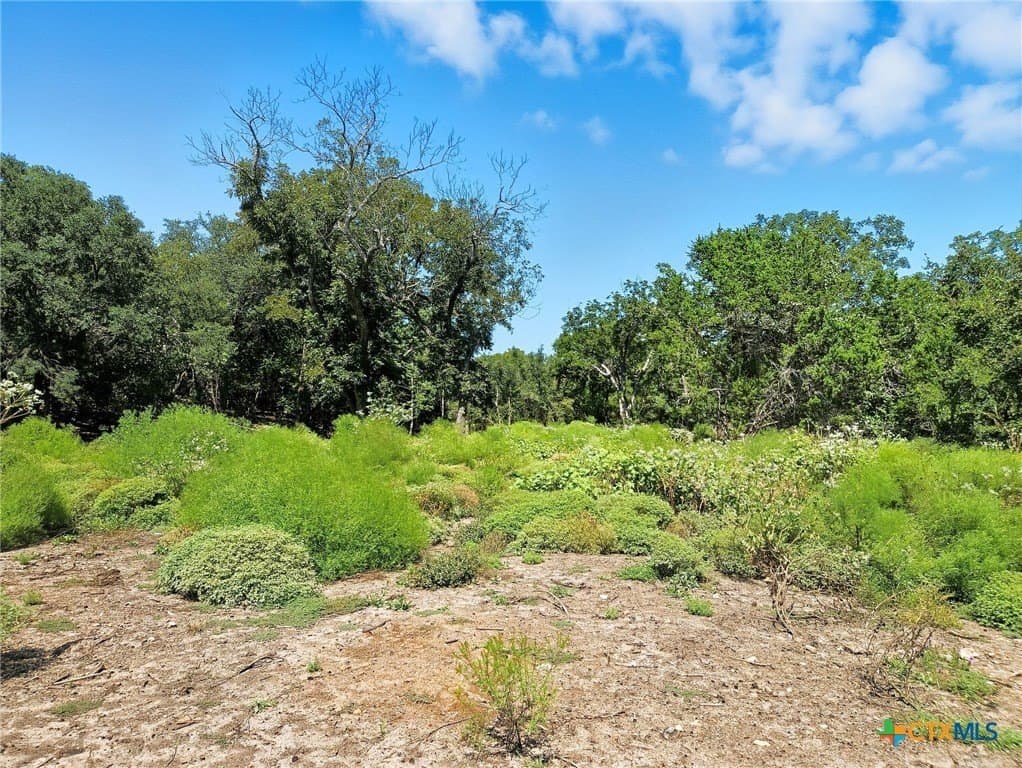 176.79 acres in Coryell County - photo 11