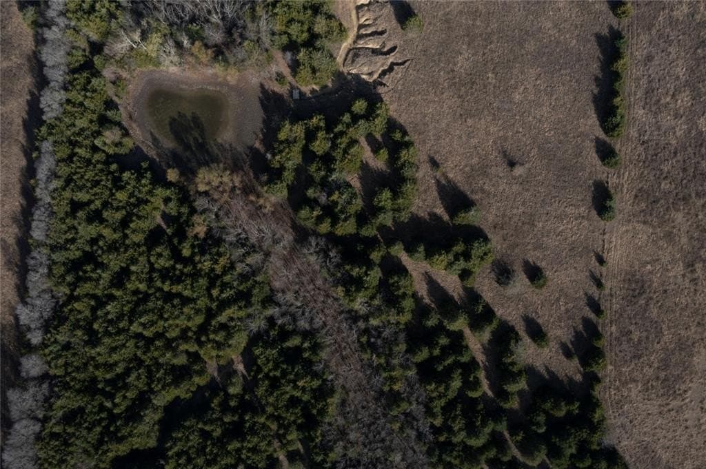 30.45 acres in Fannin County - photo 37