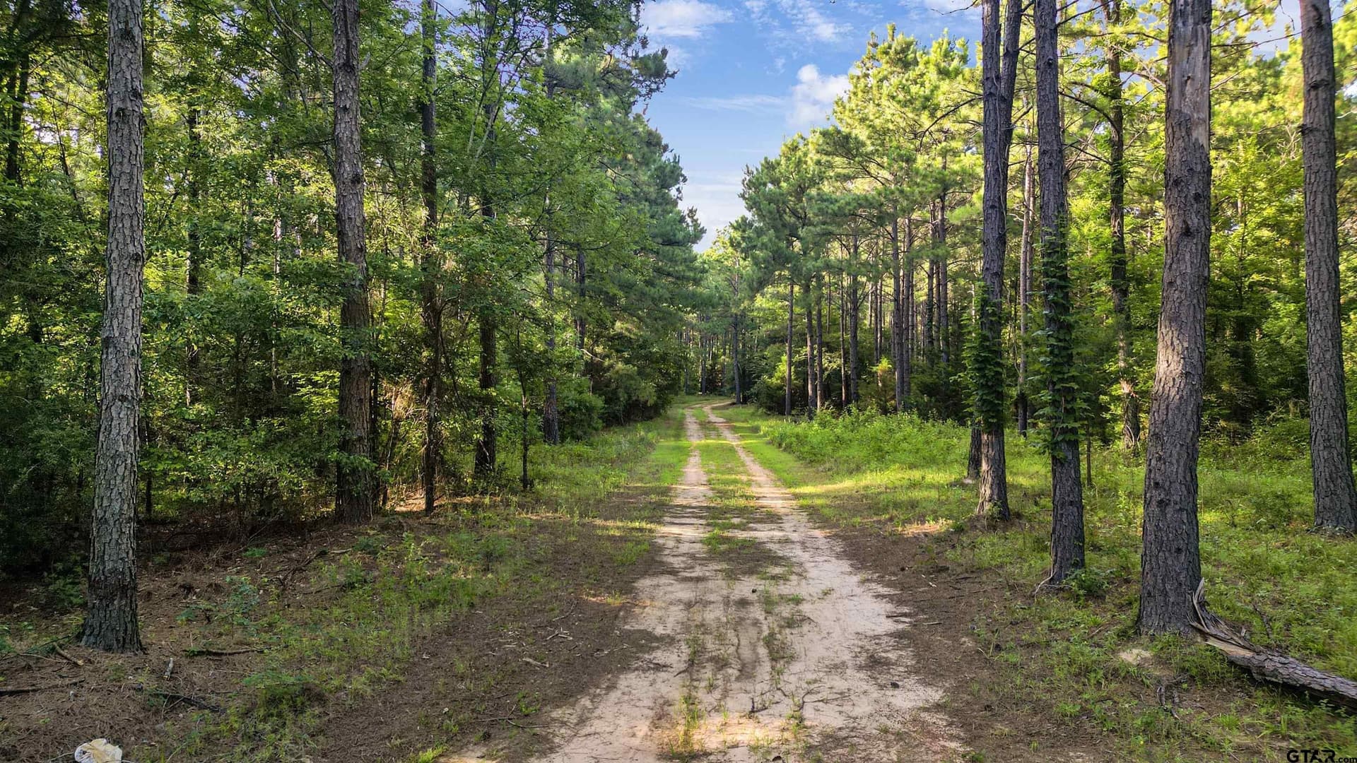 34.57 acres in Cherokee County - photo 14
