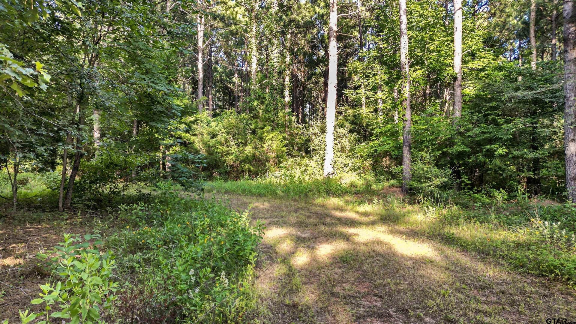 34.57 acres in Cherokee County - photo 20