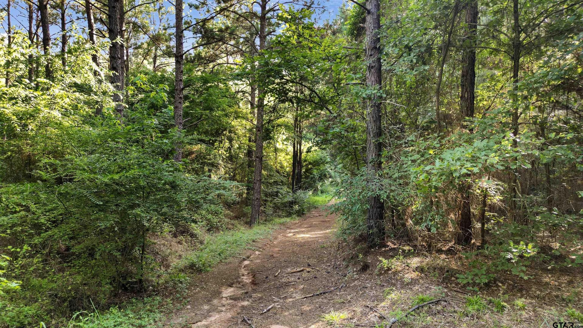 34.57 acres in Cherokee County - photo 16