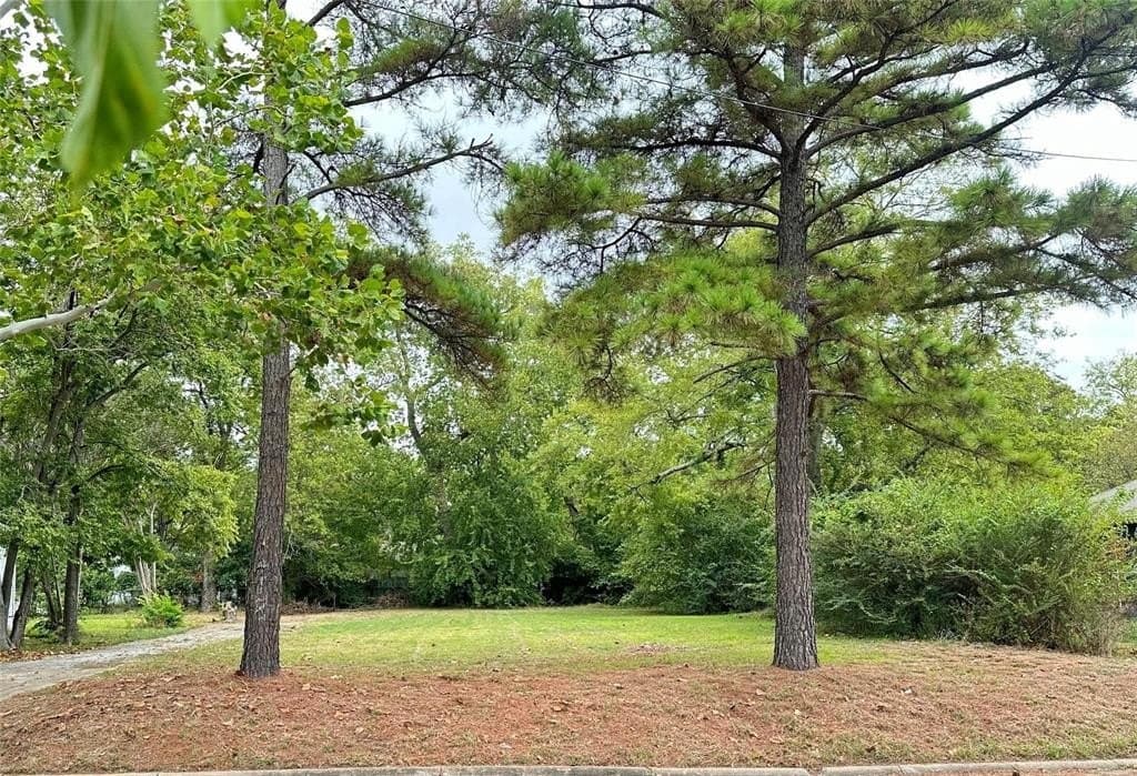 0.25 acres in Hunt County - photo 3