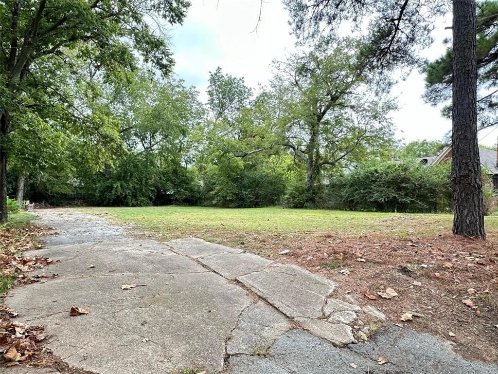 0.25 acres in Hunt County - photo 2