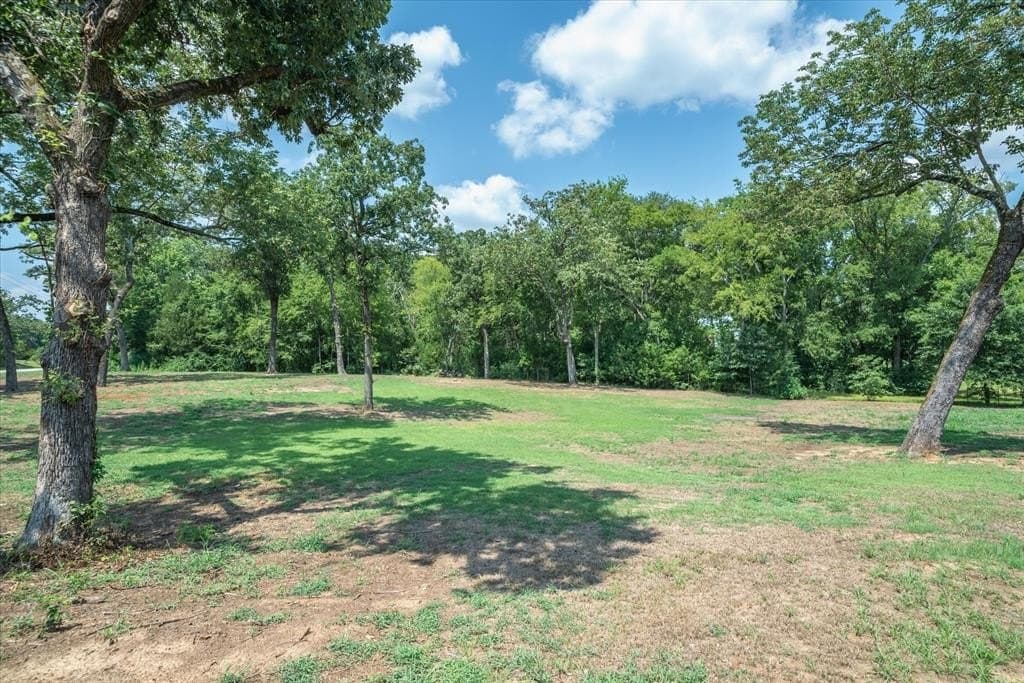 1.1 acres in Van Zandt County - photo 8