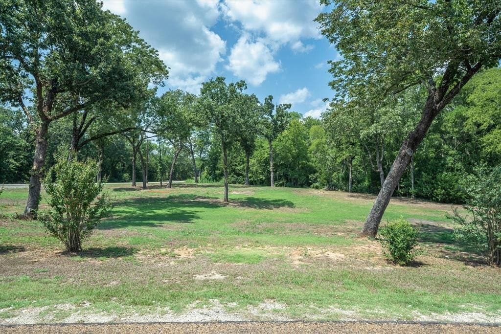 1.1 acres in Van Zandt County - photo 7