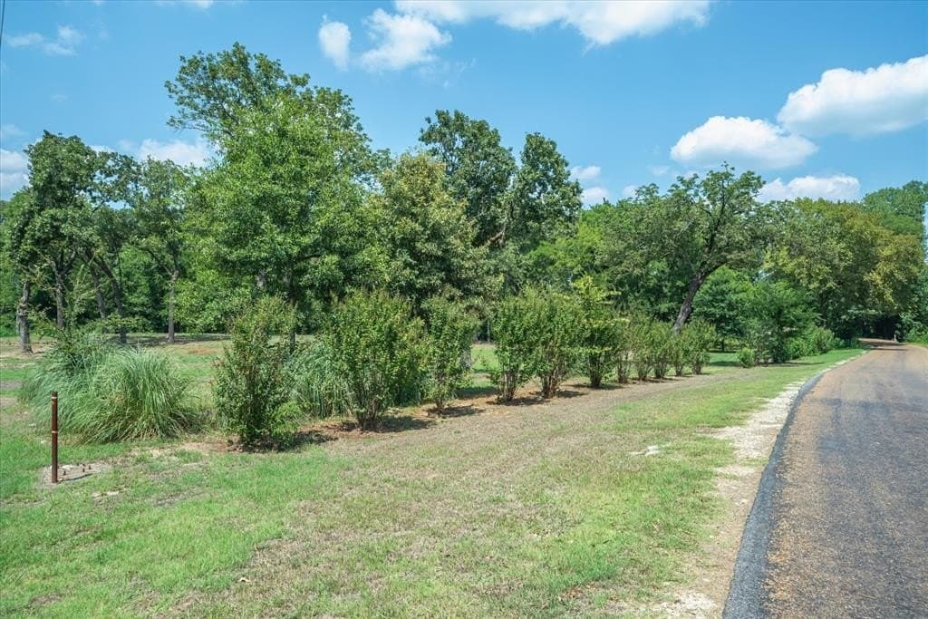 1.1 acres in Van Zandt County - photo 5