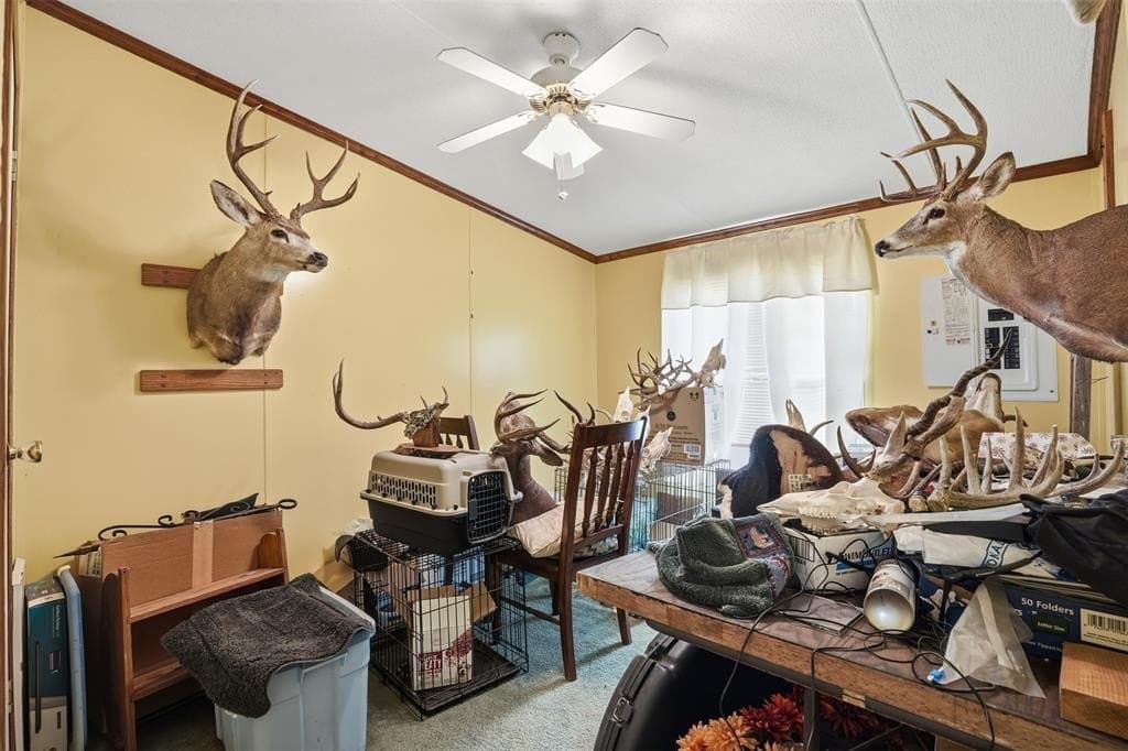 40 acres in Johnson County - photo 13