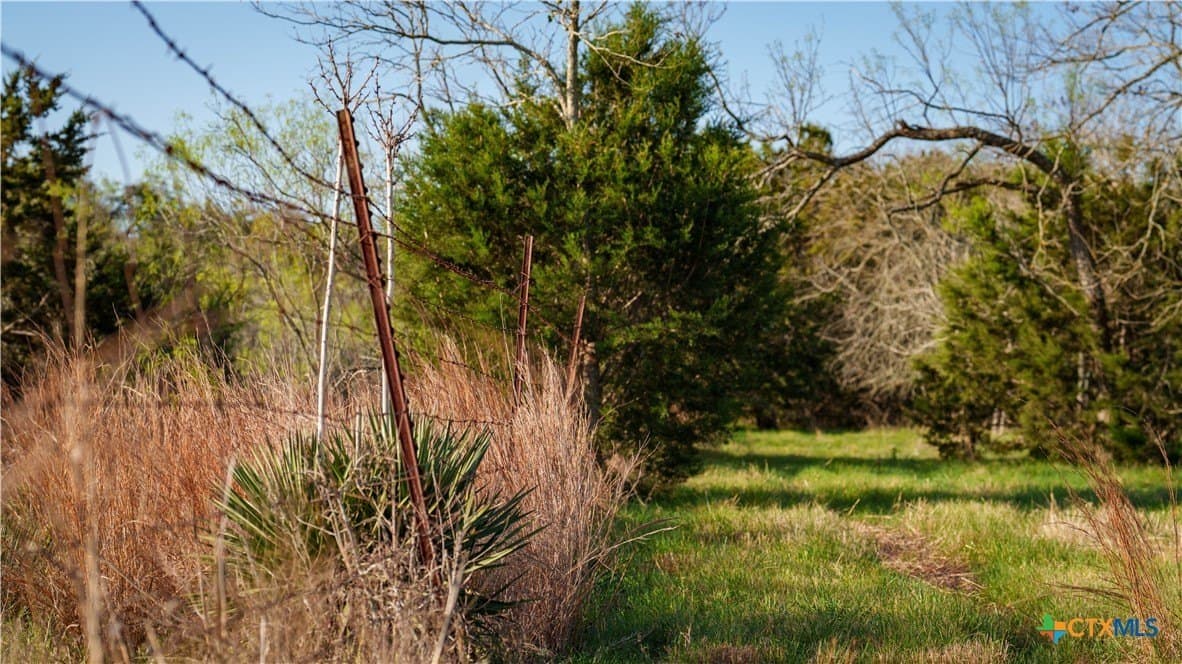 10.83 acres in Blanco County - photo 13