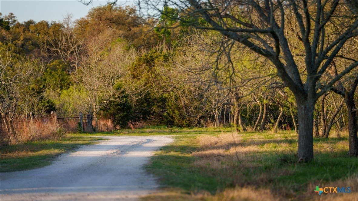 10.83 acres in Blanco County - photo 25