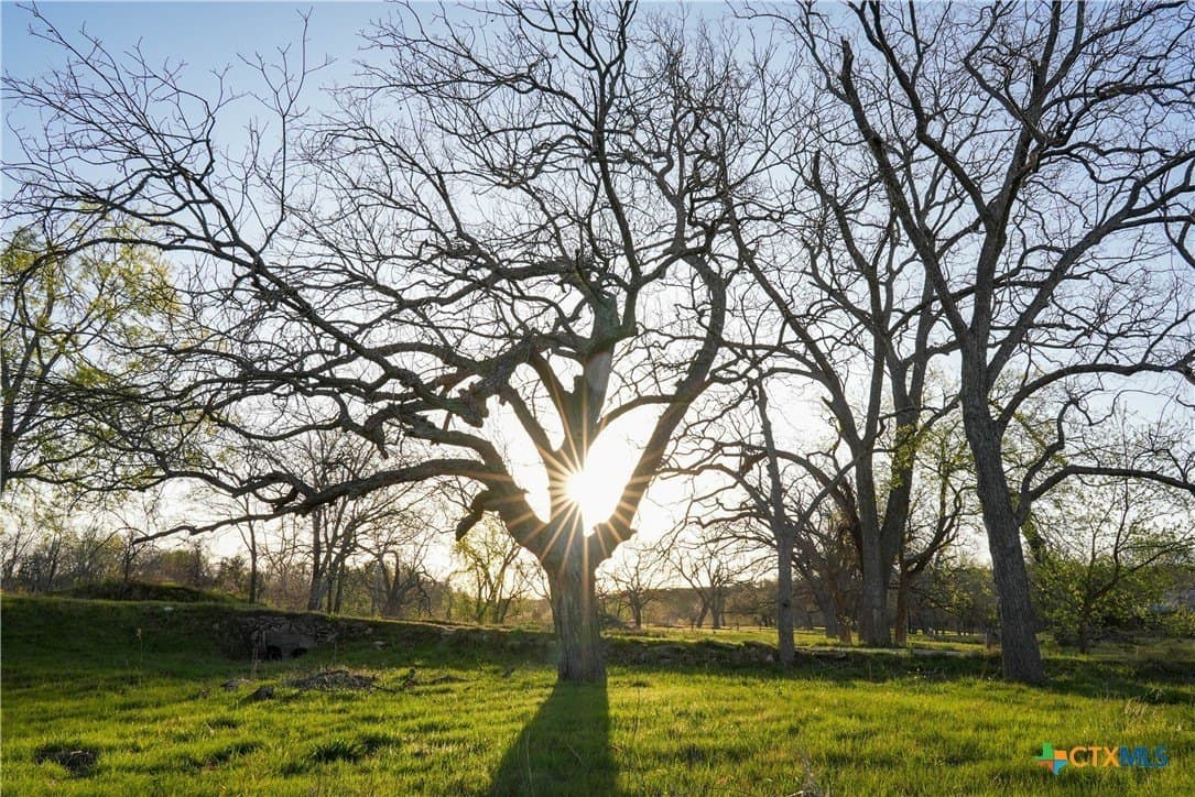 10.83 acres in Blanco County - photo 10