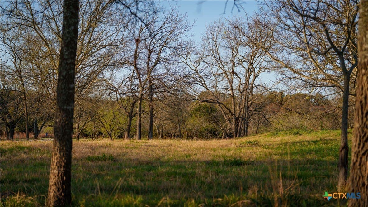 10.83 acres in Blanco County - photo 7