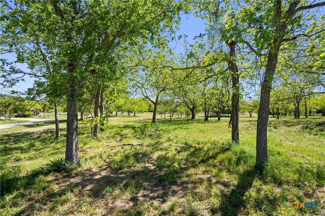 10.83 acres in Blanco County - photo 39