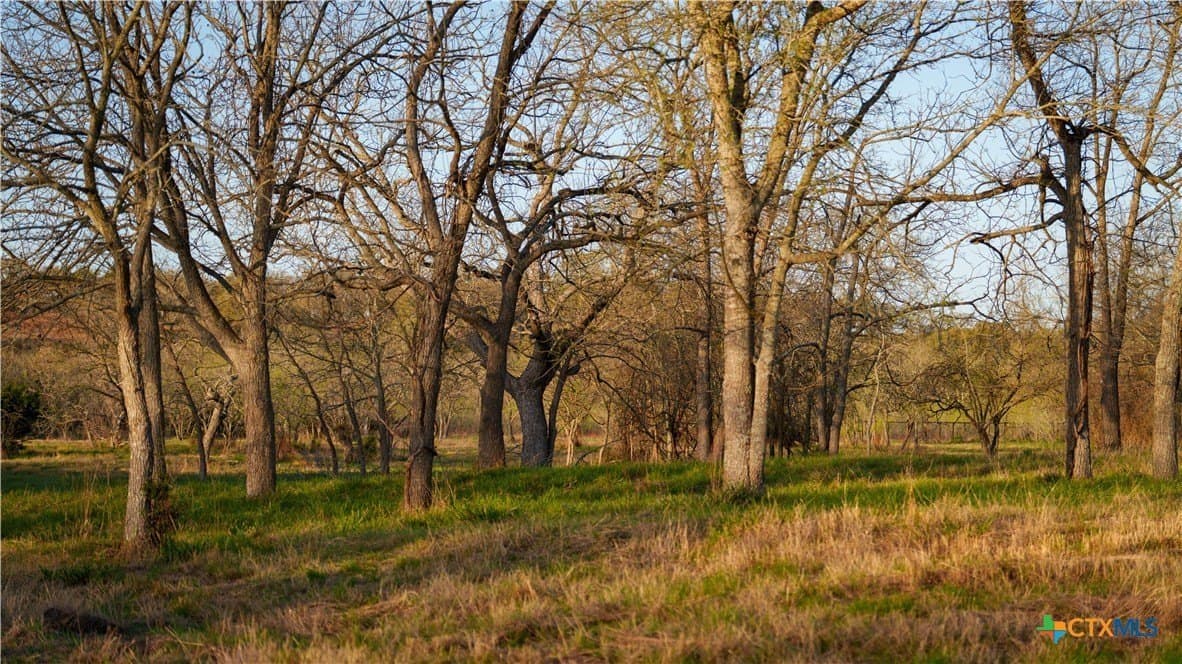 10.83 acres in Blanco County - photo 24
