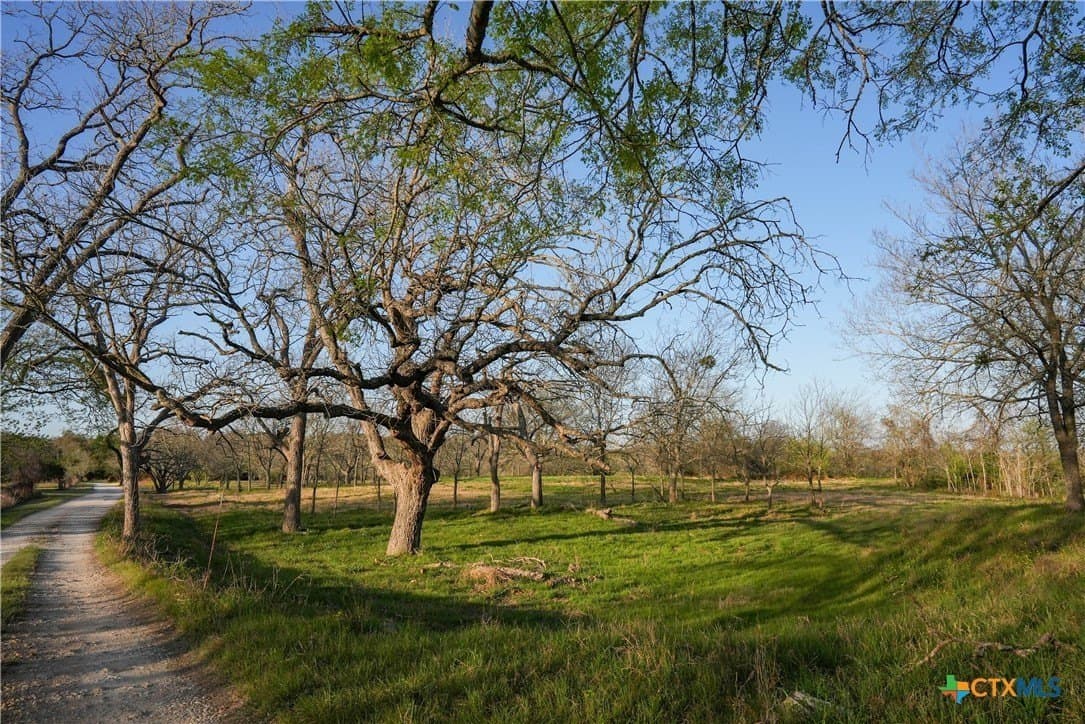 10.83 acres in Blanco County - photo 14