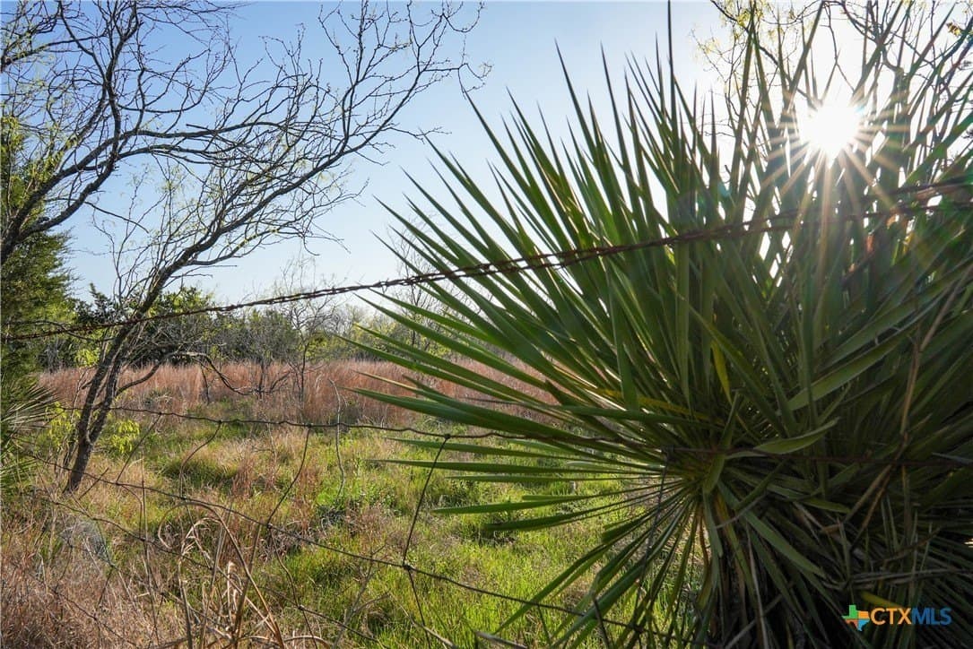 10.83 acres in Blanco County - photo 15