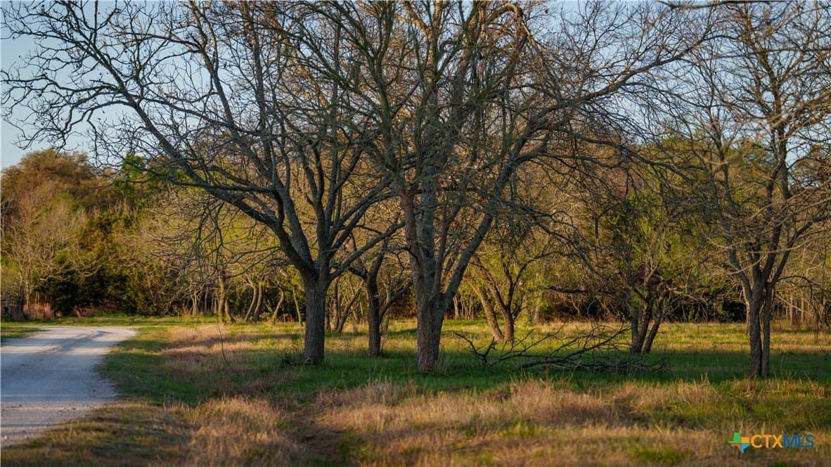 10.83 acres in Blanco County - photo 26