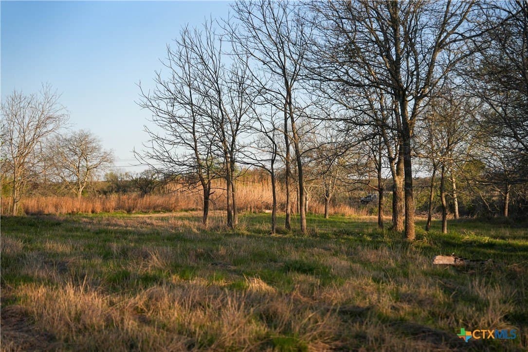 10.83 acres in Blanco County - photo 11