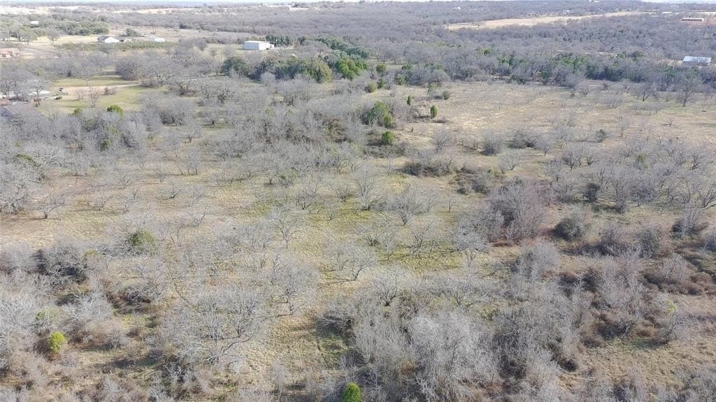 20 acres in Palo Pinto County - photo 9