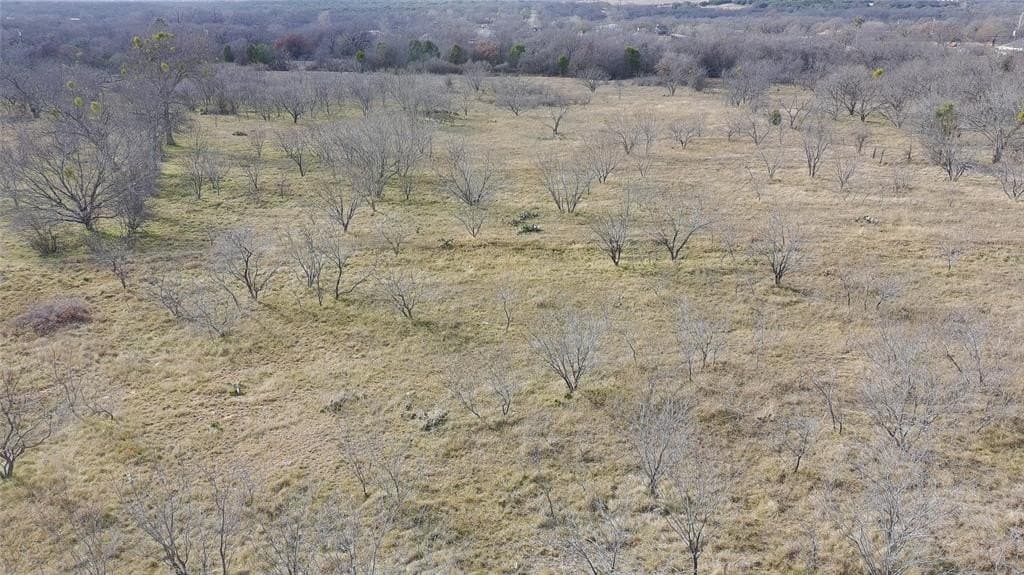 20 acres in Palo Pinto County - photo 3