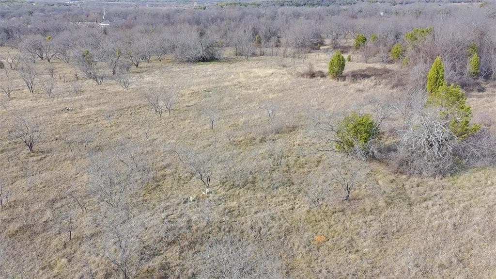 20 acres in Palo Pinto County - photo 4