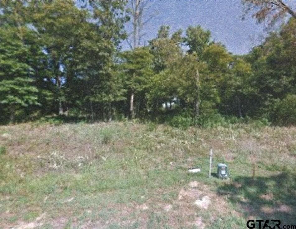 0.48 acres in Smith County - photo 3
