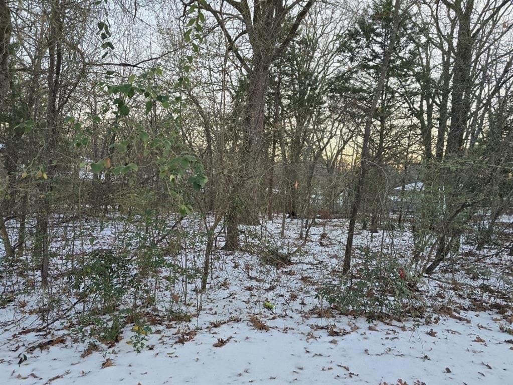0.12 acres in Henderson County - photo 3