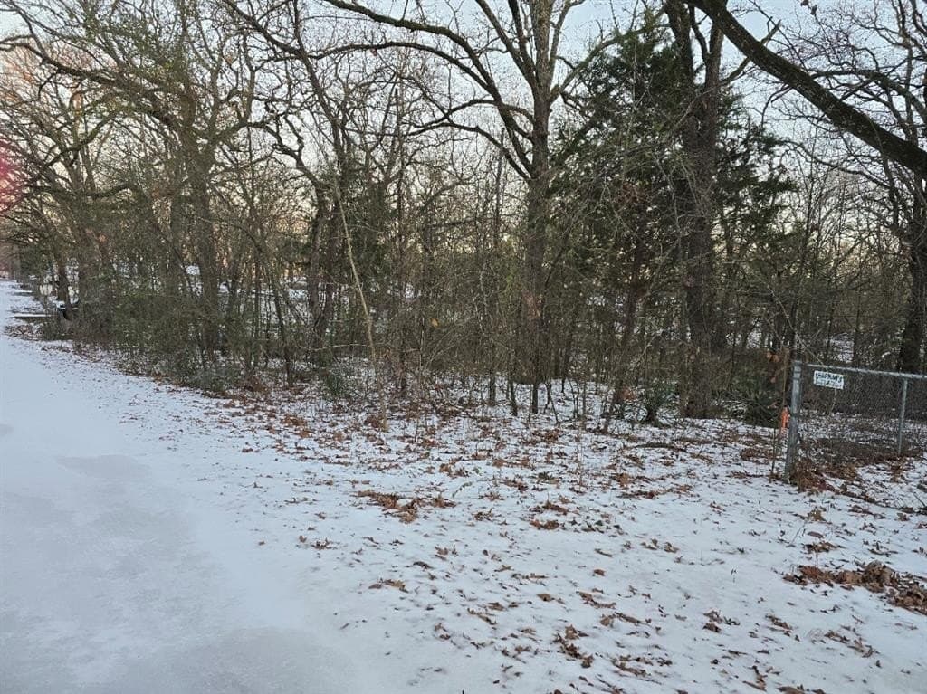 0.12 acres in Henderson County - photo 8