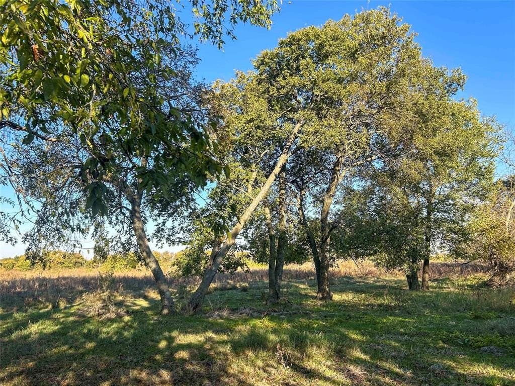 44.51 acres in Hunt County - photo 13