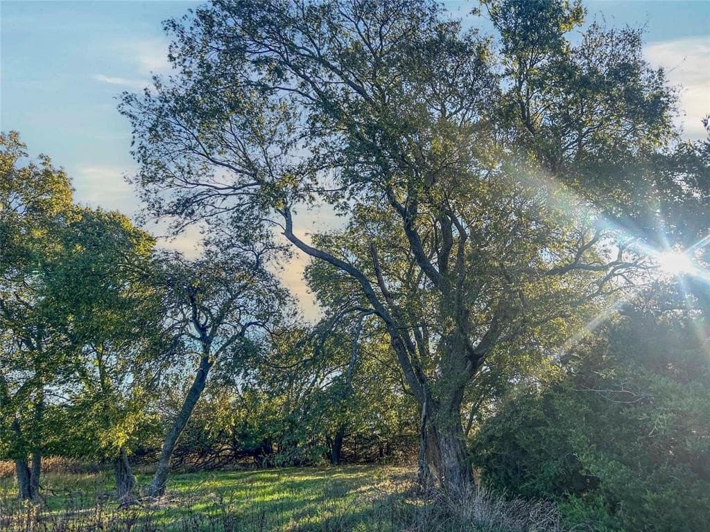 44.51 acres in Hunt County - photo 12