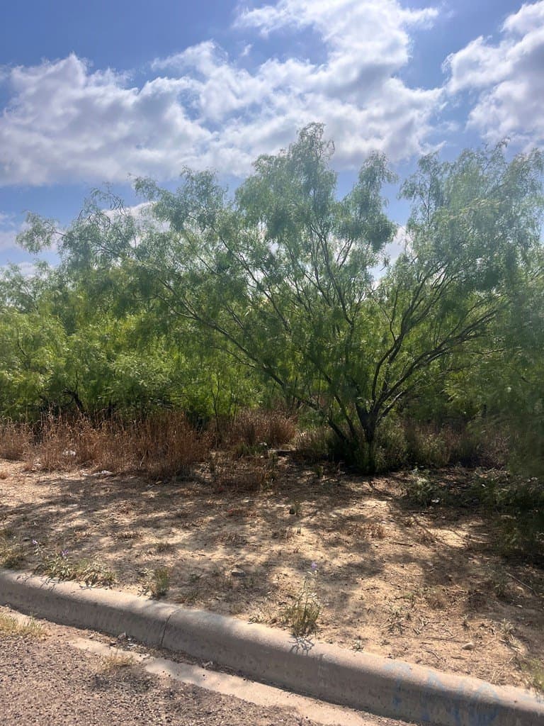 0.26 acres in Maverick County - photo 2