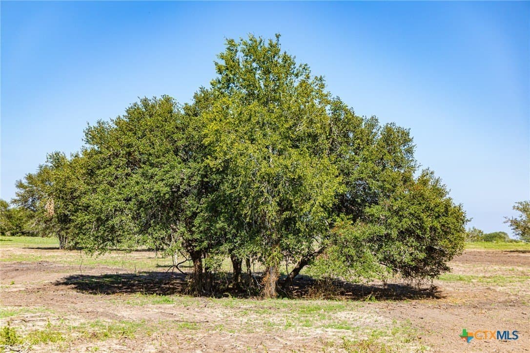 4.14 acres in Lavaca County - photo 4