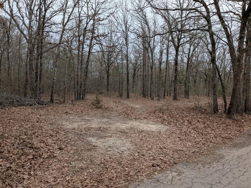 2.04 acres in Rains County - photo 6