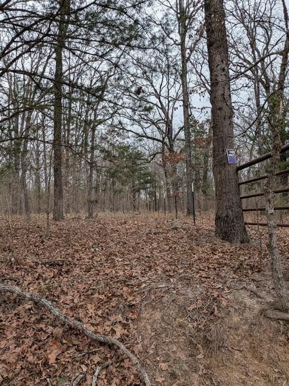 2.04 acres in Rains County - photo 2