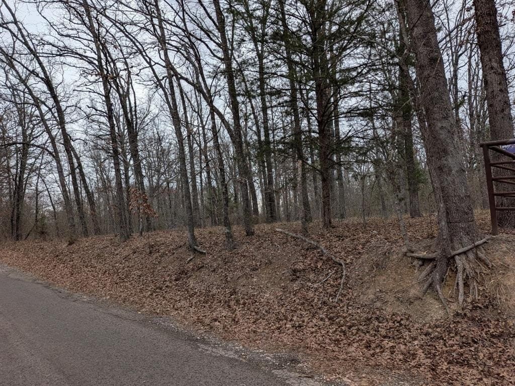 2.04 acres in Rains County - photo 3