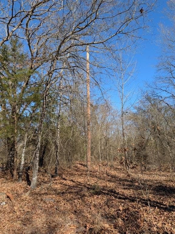 2.04 acres in Rains County - photo 4