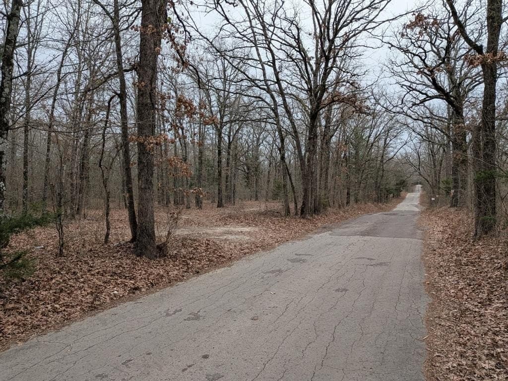 2.04 acres in Rains County - photo 5