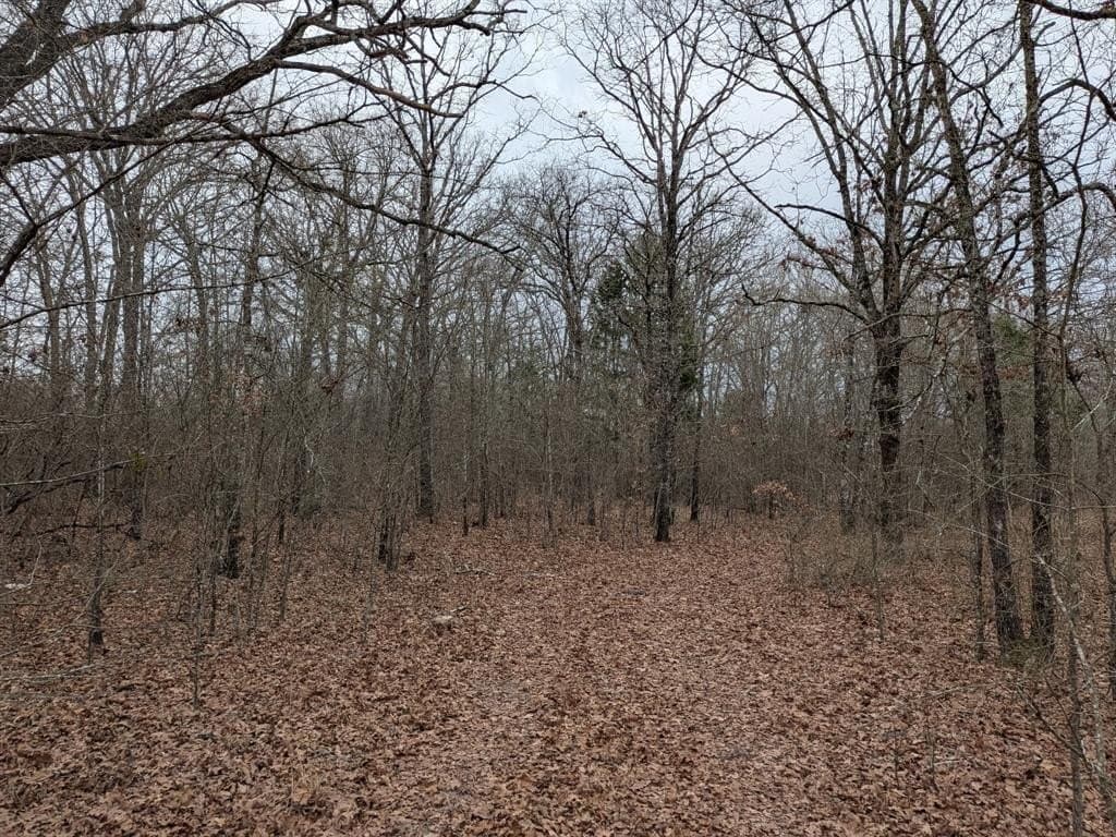 2.04 acres in Rains County - photo 7