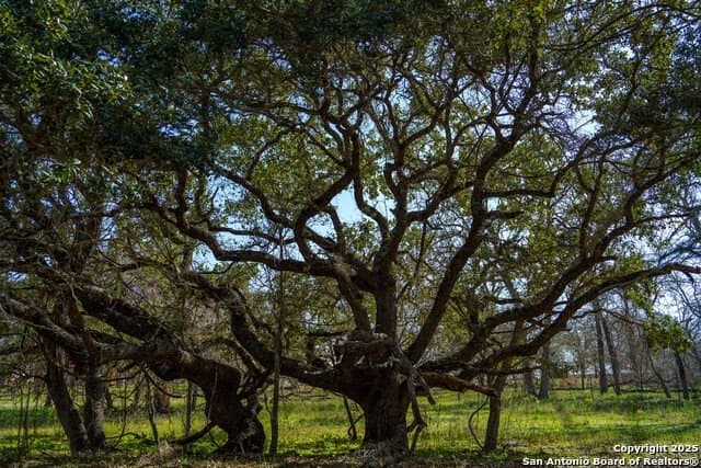 16.56 acres in Wilson County - photo 63