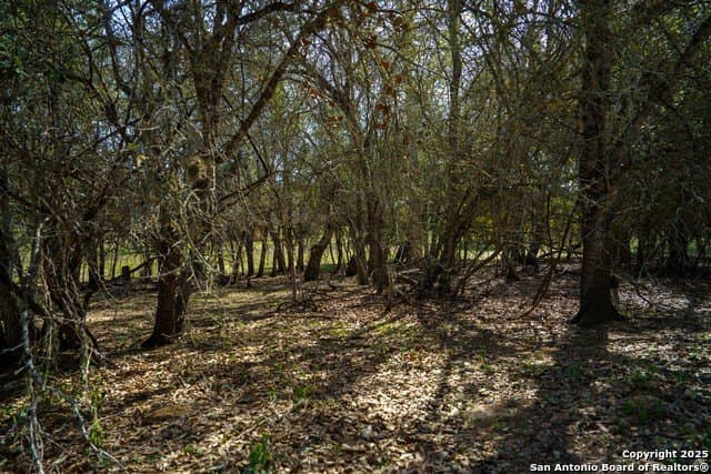 16.56 acres in Wilson County - photo 61