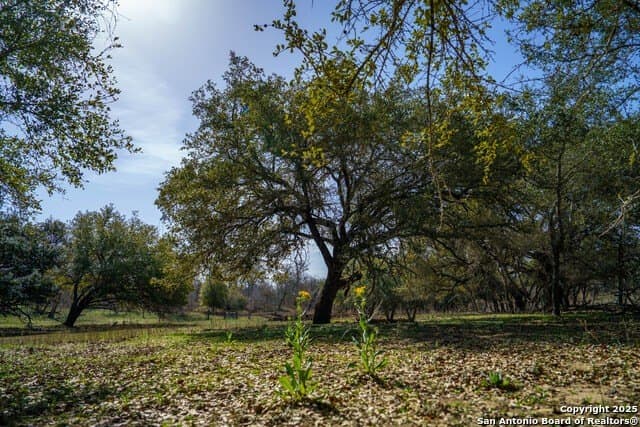 16.56 acres in Wilson County - photo 59