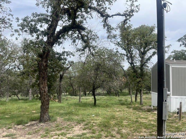 16.56 acres in Wilson County - photo 6
