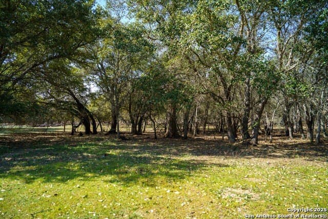 16.56 acres in Wilson County - photo 57