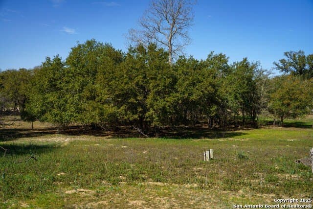 16.56 acres in Wilson County - photo 54